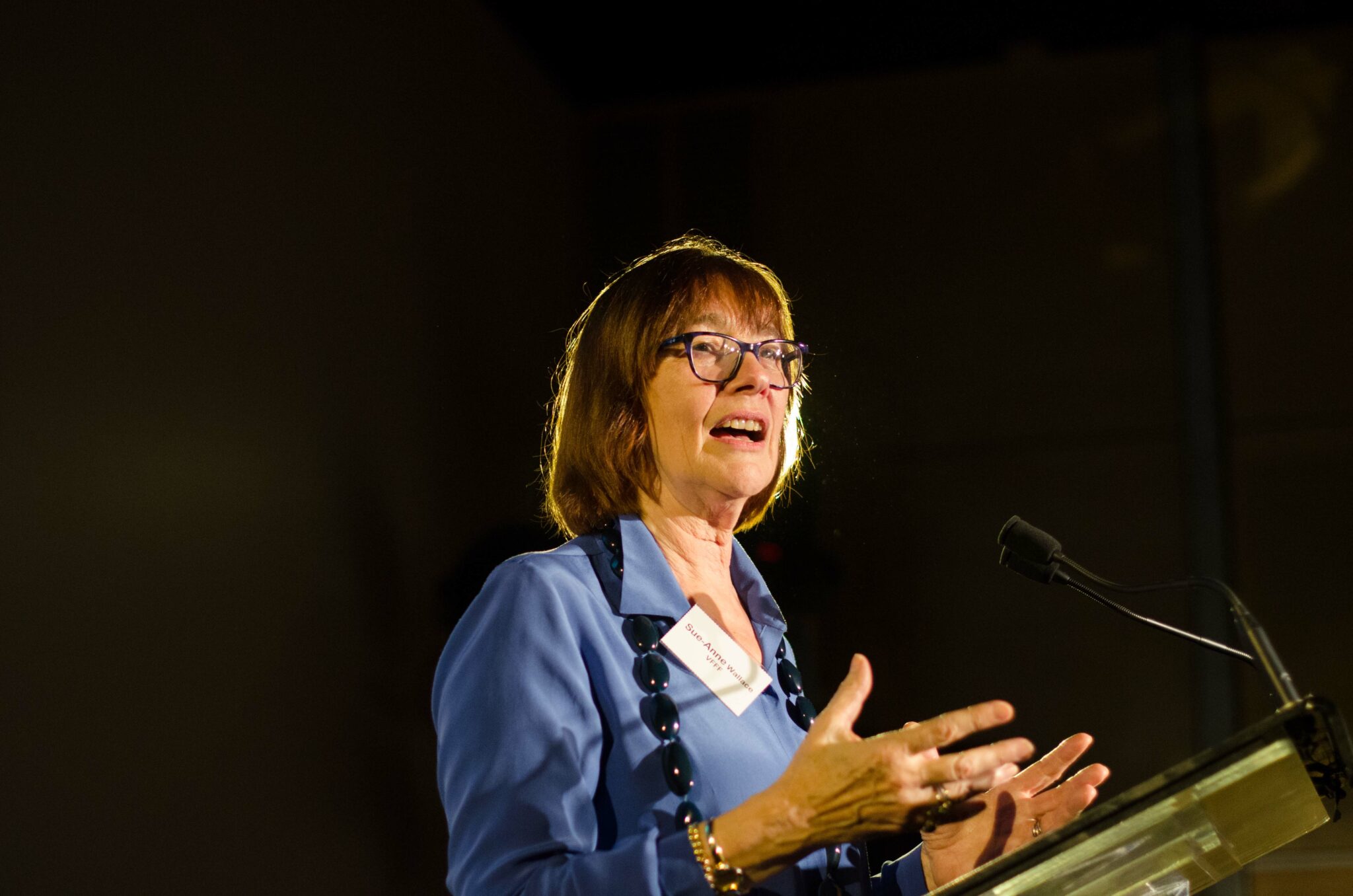 Dr. Sue-Anne Wallace AM speaking at VFFF’s 50th Anniversary Celebration event