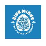 Blue minds logo