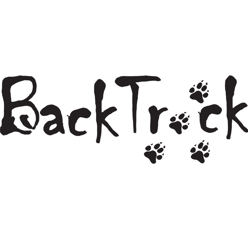 BackTrack-for-web